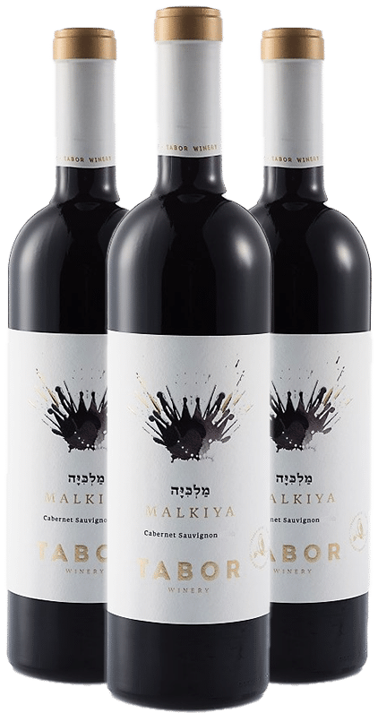 שלישיית תבור מלכיה 2015